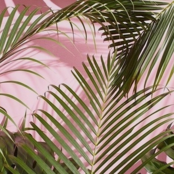 Meet your Posher, Cari - Picture 1 of 1